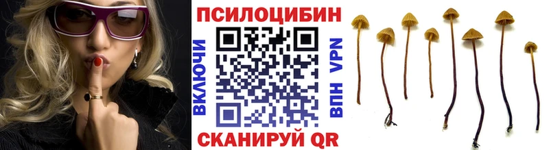 Галлюциногенные грибы Magic Shrooms  Богородск 