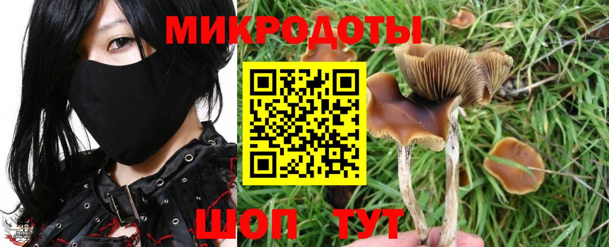 Псилоцибиновые грибы Psilocybine cubensis  закладки  Богородск  Галлюциногенные грибы прущие грибы  Вход с VPN 