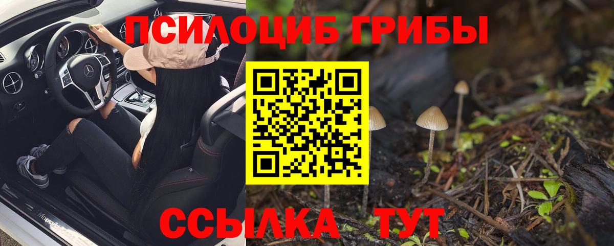 Псилоцибиновые грибы Magic Shrooms  Богородск 